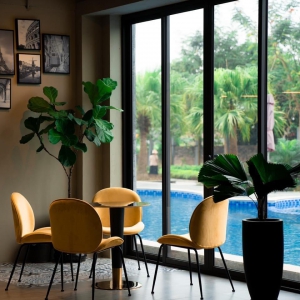 Khám Phá Quán Cafe Tuyệt Vời Tại Khách SạnLegend Hill